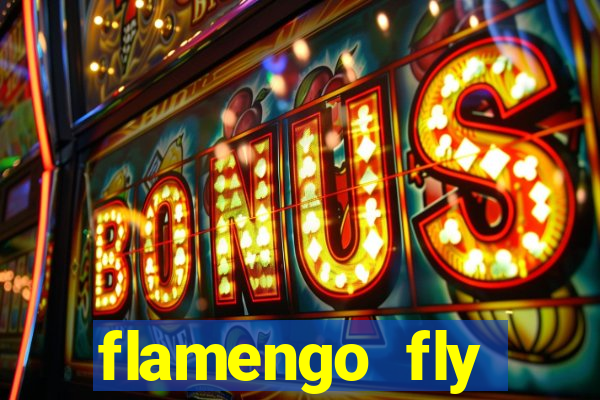 flamengo fly emirates ultimas noticias